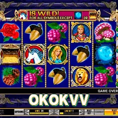 Aplicativo mobile OKOKVV