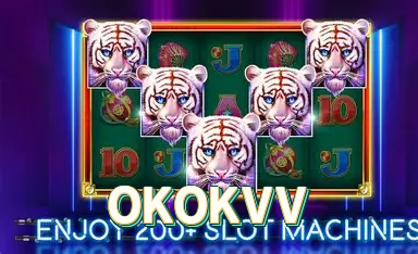 Logo OKOKVV Plataforma Certificada